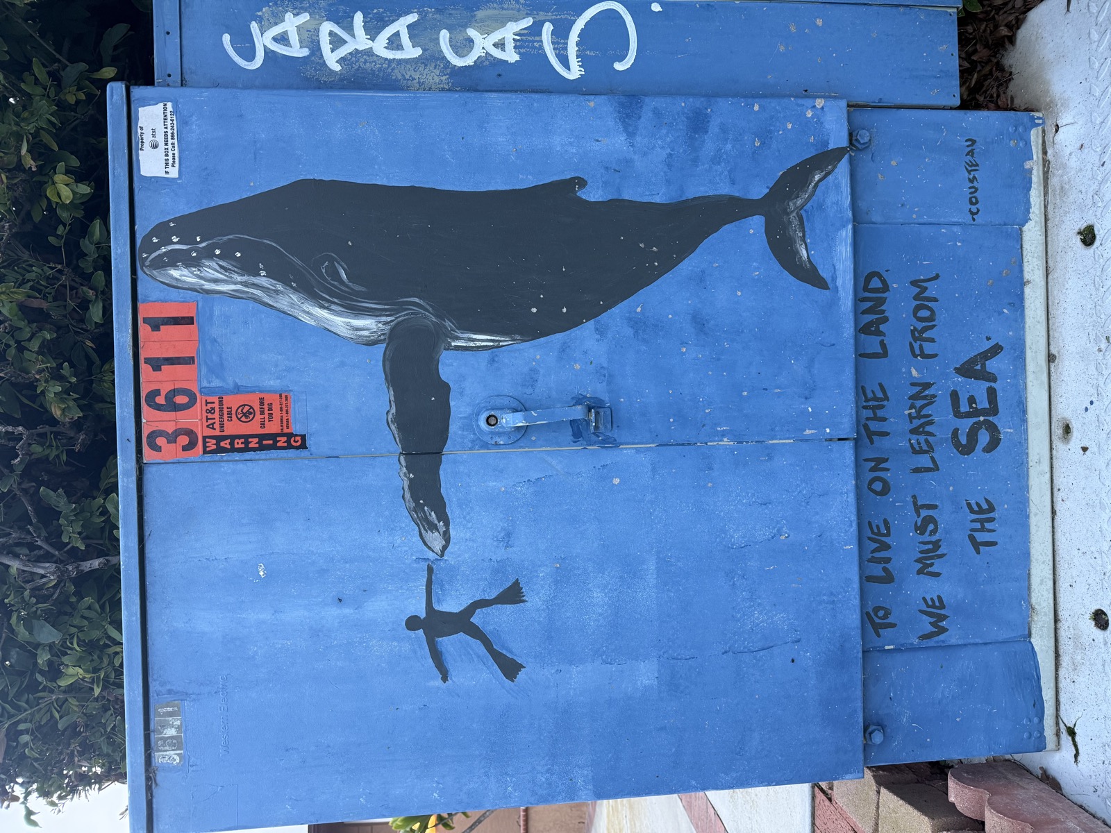 The Complete Beginner's Guide to Freediving in La Jolla